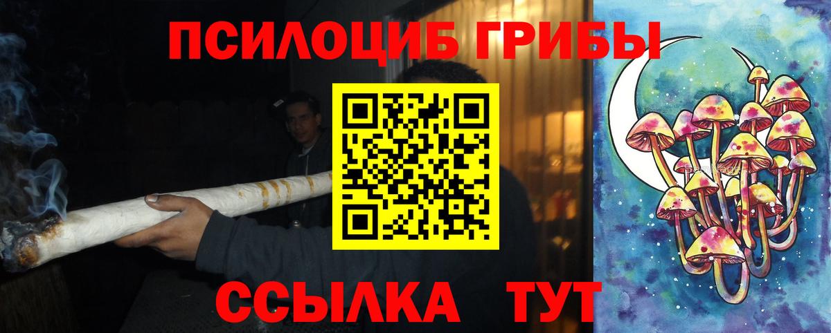 Галлюциногенные грибы Psilocybe  Вход с VPN  Долгопрудный 